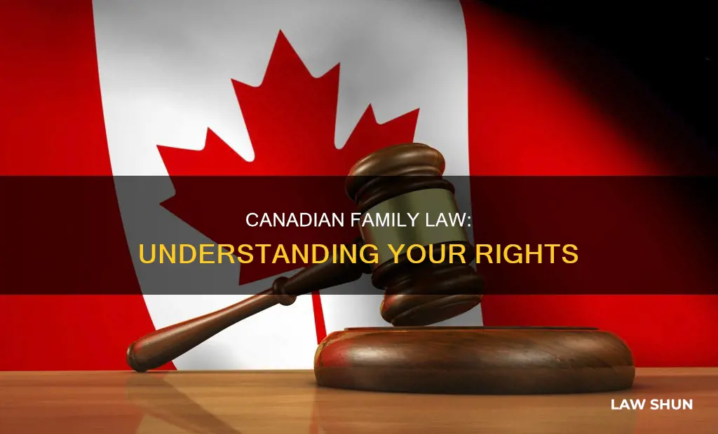 what is family law in canada