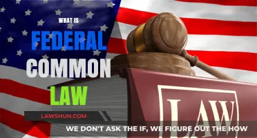 Federal Common Law: Understanding Its Basics
