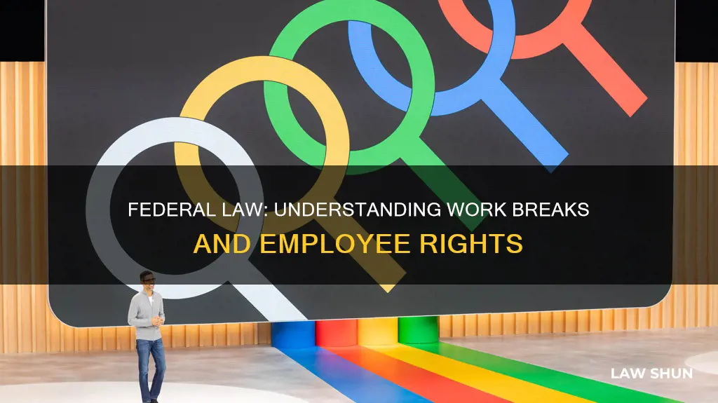 what is federal law breaks work