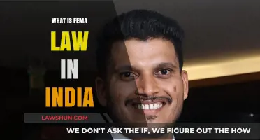FEMA Law: India's Foreign Exchange Management Regulations