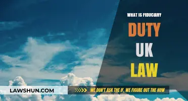 Understanding Fiduciary Duty: UK Law Basics