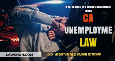 Understanding Serious Misconduct: CA Unemployment Law and Job Termination
