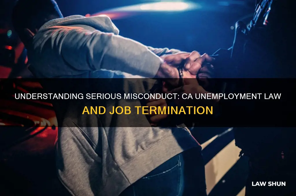 what is fired for serious misconduct under ca unemployment law