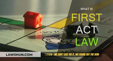 First Act Law: Understanding the Basics