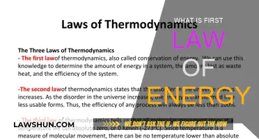 The First Law of Energy: Conservation and Transformation