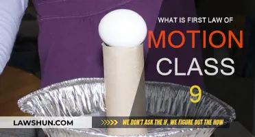 Fundamental Law: First Motion Law Basics