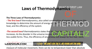 The First Law of Thermodynamics: Energy Conservation Principle