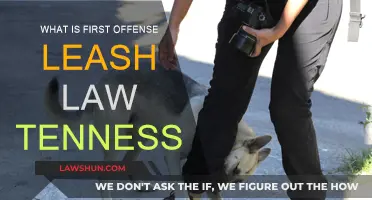 Leash Law in Tennessee: First Offense Explained