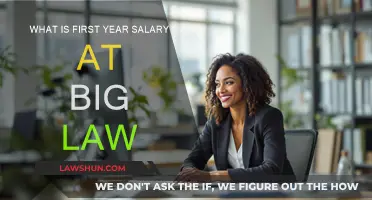 First-Year Salary at Big Law: How Much?