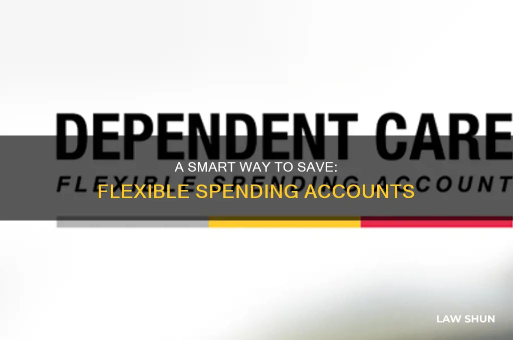 what is flexible spending account under us tax laws