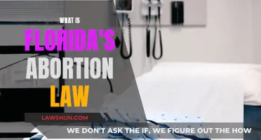 Florida's Abortion Law: Understanding the Legal Landscape