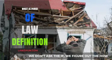 Understanding the Force of Law: Definition, Scope, and Legal Implications