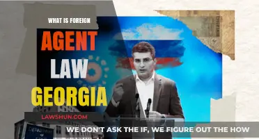 Understanding Georgia's Foreign Agent Law: Key Provisions and Implications
