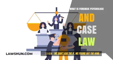 Forensic Psychology: Understanding Minds and Case Law