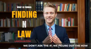 Understanding Formal Finding in Law: Key Principles and Applications