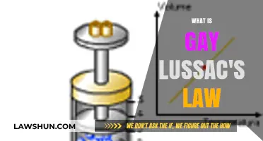 Exploring Gay-Lussac's Law: The Fascinating Relationship Between Pressure and Temperature in Gases
