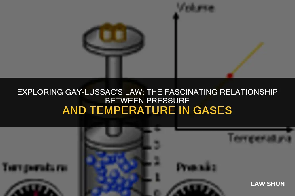 what is gay lussac