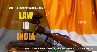 Understanding India's Geographical Indications Law