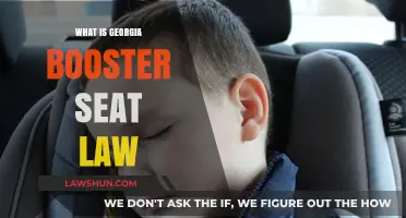 Georgia Booster Seat Law: Understanding Child Passenger Safety Requirements
