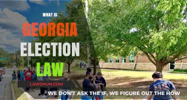 Understanding Georgia's New Election Law: Key Changes and Impacts