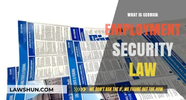 Understanding Georgia Employment Security Law: Rights, Benefits, and Protections