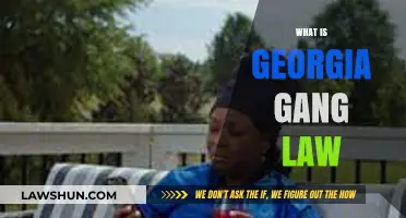 Understanding Georgia's Gang Law: Implications and Legal Consequences Explained