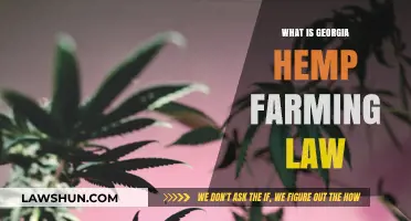 Understanding Georgia's Hemp Farming Laws: A Comprehensive Legal Guide