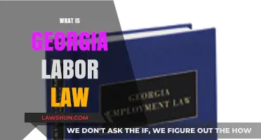 Understanding Georgia Labor Law: Essential Rights and Regulations for Workers