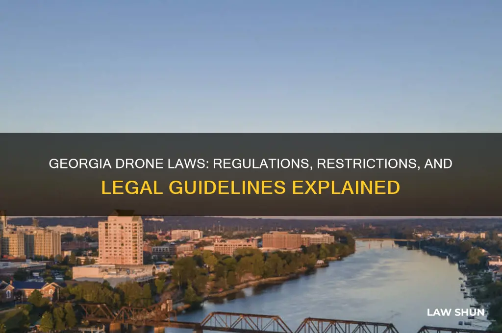 what is georgia law concerning drones