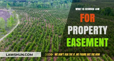 Understanding Georgia Property Easement Laws: Rights, Regulations, and Responsibilities