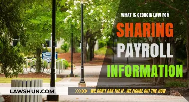 Georgia Payroll Privacy: Understanding Laws on Sharing Employee Compensation Data