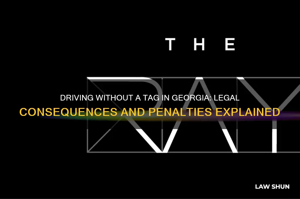 what is georgia law if caught driving with no tag