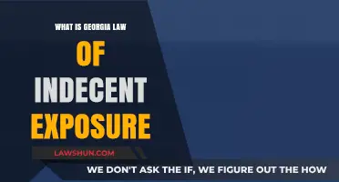 Understanding Georgia's Indecent Exposure Law: Penalties and Legal Implications