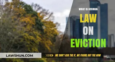 Understanding Georgia's Eviction Laws: A Comprehensive Guide for Tenants and Landlords