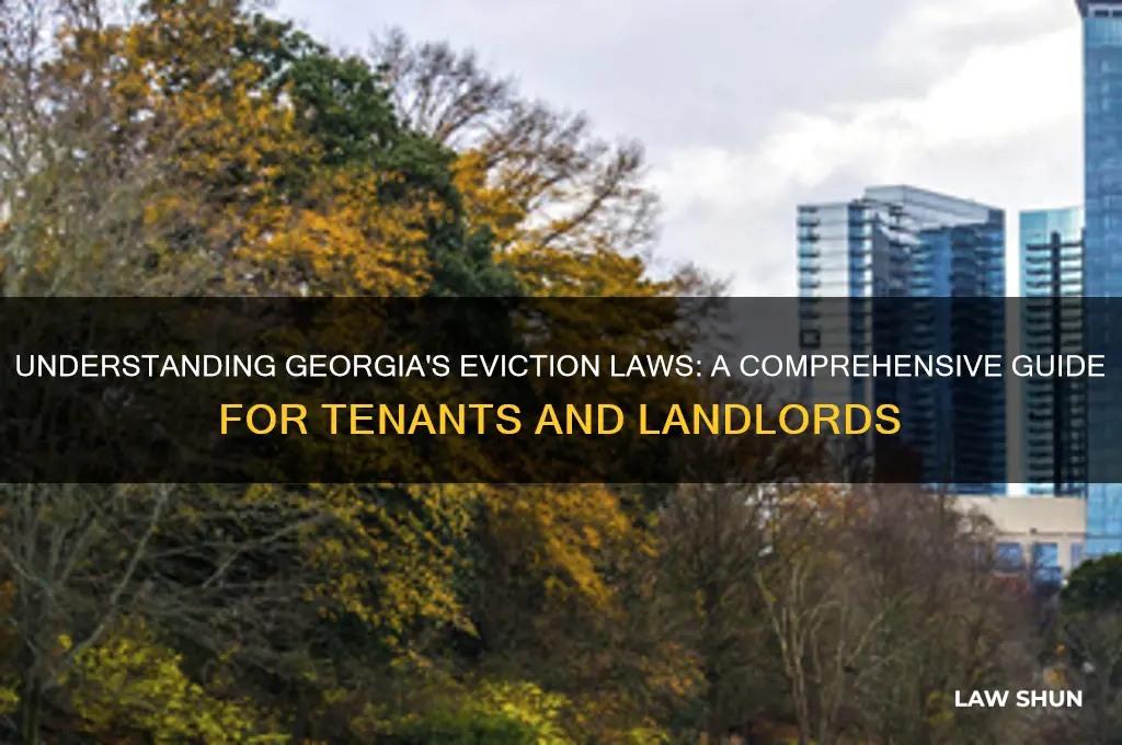 what is georgia law on eviction