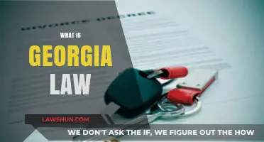 Understanding Georgia Law: Key Principles and Legal Insights Explained