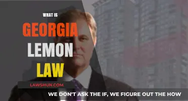 Understanding Georgia Lemon Law: Protecting Consumers from Defective Vehicles