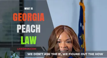 Understanding Georgia's Peach Law: A Comprehensive Guide for Residents