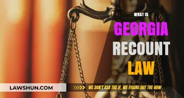 Understanding Georgia's Recount Law: Key Provisions and Procedures Explained
