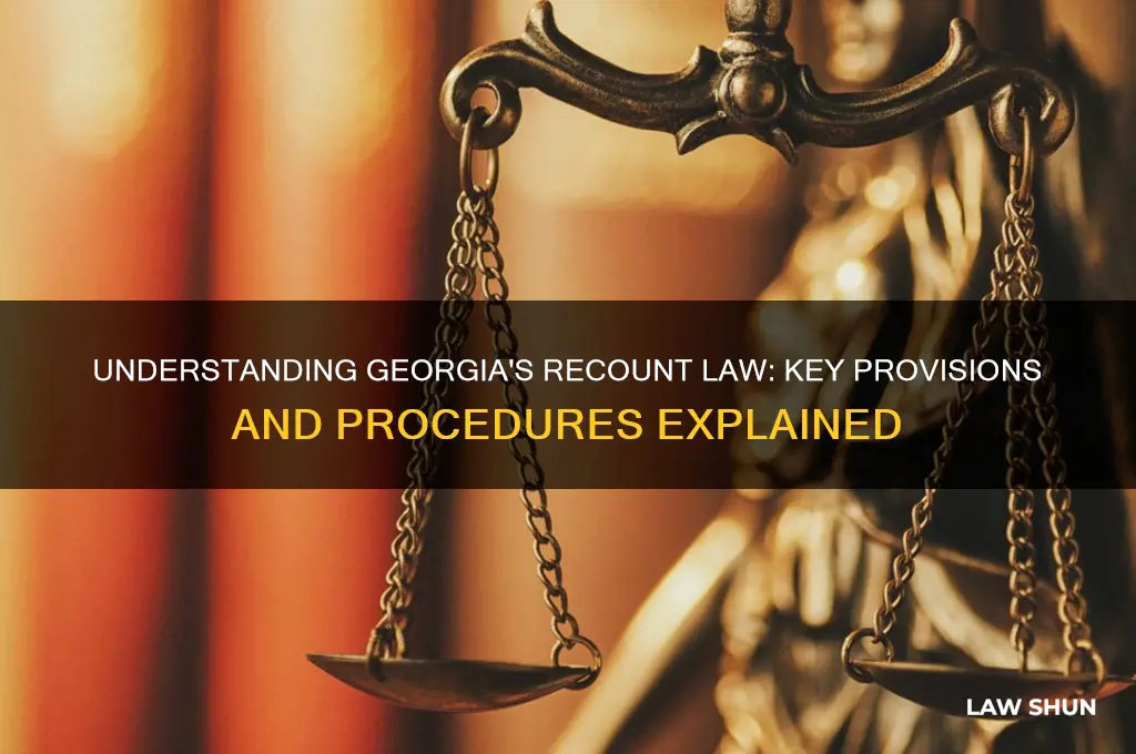 what is georgia recount law
