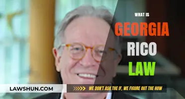 Understanding Georgia's RICO Law: Applications, Penalties, and Legal Implications
