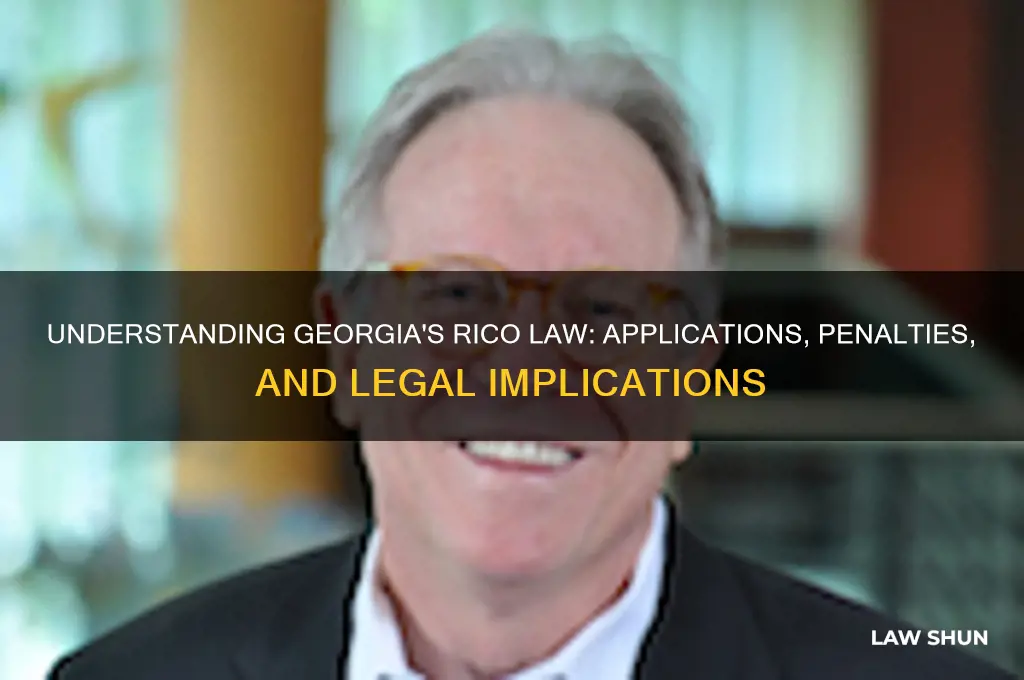 what is georgia rico law