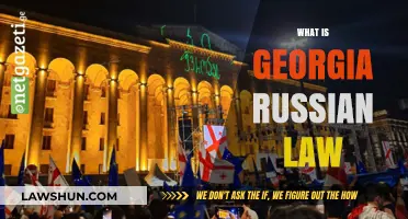 Understanding Georgia's Russian Law: Origins, Impact, and Current Debates