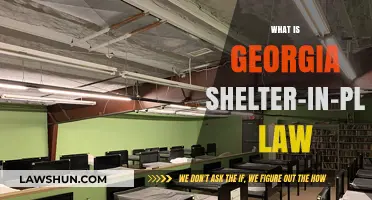 Understanding Georgia's Shelter-in-Place Law: Key Details and Compliance