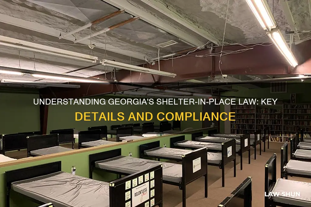 what is georgia shelter-in-place law