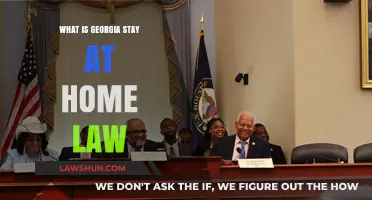 Understanding Georgia's Stay-at-Home Law: Key Details and Compliance