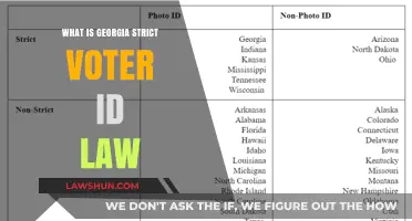 Georgia's Strict Voter ID Law: Understanding Its Impact and Controversy