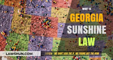 Understanding Georgia's Sunshine Law: Transparency in Government Explained