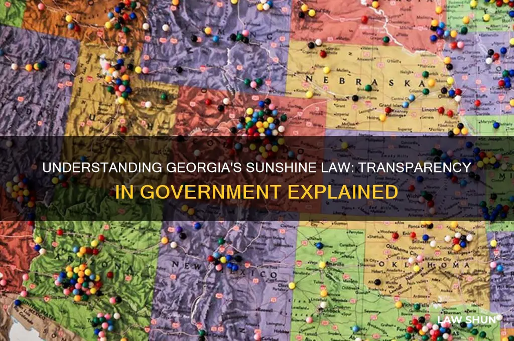 what is georgia sunshine law