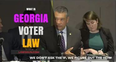 Understanding Georgia's New Voter Law: Key Changes and Implications